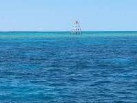 Great day of scuba diving in Key Largo with Rainbow Reef on permit ledges tropical odyssey 2017 05 06 r4179 1