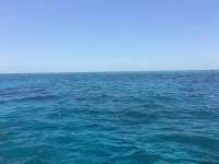 Great day of scuba diving in Key Largo with Rainbow Reef on pickles reef tropical explorer 2017 05 27 r4268 1