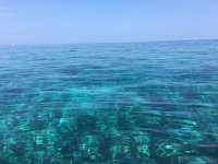 Great day of scuba diving in Key Largo with Rainbow Reef on pillar coral tropical adventure 2017 05 26 r4261 1