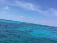 Great day of scuba diving in Key Largo with Rainbow Reef on sand island tropical adventure 2017 05 10 r4194 1