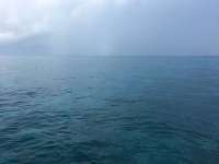 Great day of scuba diving in Key Largo with Rainbow Reef on snapper ledge tropical adventure 2017 05 26 r4257 1