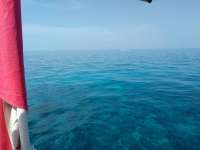 Great day of scuba diving in Key Largo with Rainbow Reef on snapper ledge tropical voyager 2017 05 26 r4262 1
