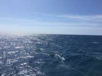 Great day of scuba diving in Key Largo with Rainbow Reef on spiegel grove tropical odyssey 2017 05 06 r4178 1