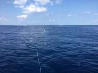 Great day of scuba diving in Key Largo with Rainbow Reef on uscgc duane tropical adventure 2017 05 10 r4192 1