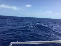 Great day of scuba diving in Key Largo with Rainbow Reef on uscgc duane tropical odyssey 2017 05 01 r4154 1