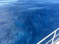 Great day of scuba diving in Key Largo with Rainbow Reef on uscgc duane tropical odyssey 2017 05 03 r4161 1