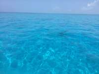 Great day of scuba diving in Key Largo with Rainbow Reef on woodys tropical legend 2017 05 26 r4260 1