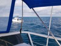Great day of scuba diving in Key Largo with Rainbow Reef on benwood wreck tropical adventure 2017 11 24 r5021 1