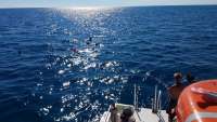 Great day of scuba diving in Key Largo with Rainbow Reef on benwood wreck tropical legend 2017 11 07 r4927 1