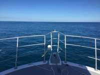 Great day of scuba diving in Key Largo with Rainbow Reef on benwood wreck tropical odyssey 2017 11 06 r4920 1