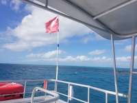 Great day of scuba diving in Key Largo with Rainbow Reef on benwood wreck tropical odyssey 2017 11 14 r4963 1