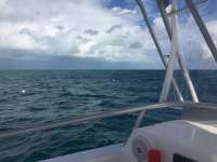 Great day of scuba diving in Key Largo with Rainbow Reef on benwood wreck tropical odyssey 2017 11 28 r5048 1