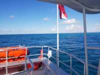 Great day of scuba diving in Key Largo with Rainbow Reef on christmastree cave tropical legend 2017 11 21 r5006 1