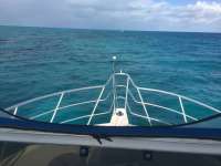 Great day of scuba diving in Key Largo with Rainbow Reef on conch pillars tropical adventure 2017 11 04 r4908 1