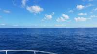 Great day of scuba diving in Key Largo with Rainbow Reef on conch wall tropical odyssey 2017 11 22 r5014 1