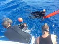 Great day of scuba diving in Key Largo with Rainbow Reef on drift molasses tropical explorer 2017 11 17 r4982 1