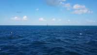 Great day of scuba diving in Key Largo with Rainbow Reef on eagle ray alley tropical legend 2017 11 30 r5053 1