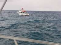 Great day of scuba diving in Key Largo with Rainbow Reef on eagle ray alley tropical odyssey 2017 11 16 r4974 1