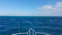 Great day of scuba diving in Key Largo with Rainbow Reef on fire coral cave tropical legend 2017 11 16 r4972 1
