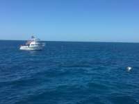 Great day of scuba diving in Key Largo with Rainbow Reef on french reef tropical adventure 2017 11 05 r4912 1
