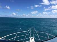 Great day of scuba diving in Key Largo with Rainbow Reef on french reef tropical adventure 2017 11 10 r4945 1