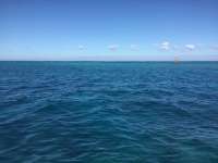 Great day of scuba diving in Key Largo with Rainbow Reef on hole in the wall tropical legend 2017 11 08 r4930 1