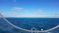 Great day of scuba diving in Key Largo with Rainbow Reef on hole in the wall tropical legend 2017 11 25 r5031 1
