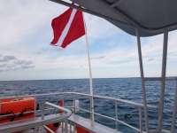 Great day of scuba diving in Key Largo with Rainbow Reef on hole in the wall tropical legend 2017 11 27 r5044 1