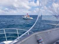 Great day of scuba diving in Key Largo with Rainbow Reef on hole in the wall tropical odyssey 2017 11 30 r5057 1