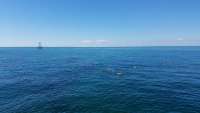 Great day of scuba diving in Key Largo with Rainbow Reef on molasses reef tropical adventure 2017 11 19 r4997 1