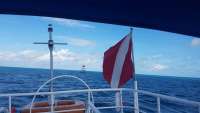 Great day of scuba diving in Key Largo with Rainbow Reef on molasses reef tropical adventure 2017 11 23 r5020 1