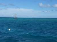 Great day of scuba diving in Key Largo with Rainbow Reef on molasses reef tropical legend 2017 11 09 r4936 1