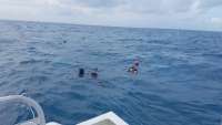 Great day of scuba diving in Key Largo with Rainbow Reef on molasses reef tropical legend 2017 11 13 r4958 1