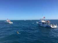Great day of scuba diving in Key Largo with Rainbow Reef on molasses reef tropical voyager 2017 11 19 r4994 1