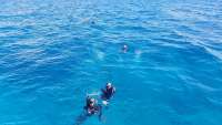 Great day of scuba diving in Key Largo with Rainbow Reef on north star tropical legend 2017 11 05 r4914 1