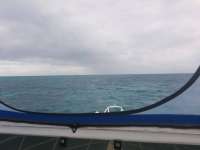 Great day of scuba diving in Key Largo with Rainbow Reef on pickle barrel wreck tropical adventure 2017 11 20 r5001 1