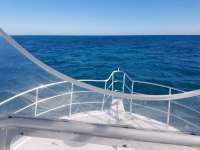 Great day of scuba diving in Key Largo with Rainbow Reef on pickle barrel wreck tropical legend 2017 11 03 r4897 1