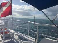 Great day of scuba diving in Key Largo with Rainbow Reef on pickles reef tropical adventure 2017 11 04 r4909 1