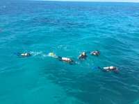 Great day of scuba diving in Key Largo with Rainbow Reef on sand island tropical adventure 2017 11 25 r5032 1