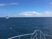 Great day of scuba diving in Key Largo with Rainbow Reef on spanish anchor tropical adventure 2017 11 08 r4933 1
