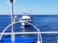 Great day of scuba diving in Key Largo with Rainbow Reef on spiegel grove tropical adventure 2017 11 07 r4923 1