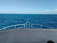 Great day of scuba diving in Key Largo with Rainbow Reef on spiegel grove tropical odyssey 2017 11 04 r4904 1