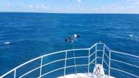 Great day of scuba diving in Key Largo with Rainbow Reef on spiegel grove tropical odyssey 2017 11 10 r4944 1
