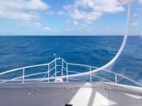 Great day of scuba diving in Key Largo with Rainbow Reef on spiegel grove tropical odyssey 2017 11 14 r4962 1