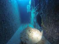 Great day of scuba diving in Key Largo with Rainbow Reef on spiegel grove tropical odyssey 2017 11 24 r5023 1