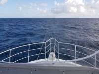 Great day of scuba diving in Key Largo with Rainbow Reef on spiegel grove tropical odyssey 2017 11 30 r5054 1