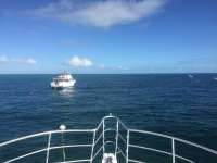 Great day of scuba diving in Key Largo with Rainbow Reef on winch hole tropical legend 2017 11 22 r5013 1