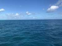 Great day of scuba diving in Key Largo with Rainbow Reef on winch hole tropical voyager 2017 11 04 r4906 1