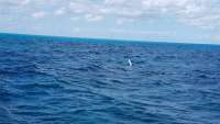 Great day of scuba diving in Key Largo with Rainbow Reef on christ statue tropical adventure 2017 10 27 r4874 1