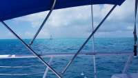 Great day of scuba diving in Key Largo with Rainbow Reef on eagle ray alley tropical adventure 2017 10 11 r4801 1